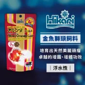 Hikari 高夠力 金魚獅頭飼料 Mini顆粒 浮水性 獅頭 蘭壽 東錦 金魚增豔增體
