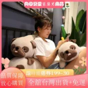 🌈限時特惠🌈巴哥犬毛絨玩具沙皮狗公仔八哥玩偶娃娃床上睡覺抱枕女孩生日禮物PL