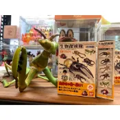 💥現貨💥「candy公仔雜貨舗」大型充氣/吹氣生物探險家 蟲篇(QK0350)