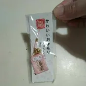 淺草寺好人緣／銀閣寺必勝／大本山天龍寺勝／金閣寺／淺草雷門杯