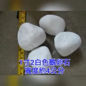 【久榮園藝資材行】1寸2白色石頭 白色鵝卵石 1公斤裝 裝飾用石頭 鵝卵石