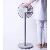 【遠東百貨】N9-FAN CLASSIC DC無線直立式風扇 ▶30E012