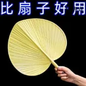 .手搖塑膠大蒲扇加厚加大防摔壞耐用扇子夏季高顏值家用團扇