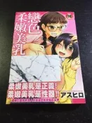 ．私人好貨．二手．28．漫畫．早期 新視界【戀色柔嫩美乳 C1999 アスヒロ】中古書籍 插畫畫集 角色叢書 自售