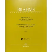 【凱翊︱BA】布拉姆斯C小調小提琴與鋼琴奏鳴曲WoO2奏鳴曲樂章Brahms Violin Piano Cminor