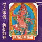 【雨揚珍品】★2027 桃園蓮花雨 💡《咕嚕咕咧佛母光明燈》💡點亮一整年 (祈福名單1名)