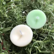 debi candle 初次接觸天然精油香氛小蠟燭優惠組（二入一組）淨化尤加利+日本蜜柑複方