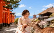 【Klook客路】京都清水寺、伏見稻荷大社與奈良公園一日遊 中文導覽 免費取消 立即確認 