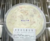 美兒小舖COSTCO好市多代購～燻鮭魚乳酪抹醬(300g/盒)可搭配貝果or餐包or可頌