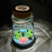 【A-ONE 匯旺】夜光蛙王蛙后 綠藻球微景觀瓶 含2顆綠藻 白光LED 150ml布丁杯 DIY水培盆栽生態