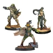 Infinity 1223 Haqqislam Hassassin Expansion Pack Gamma
