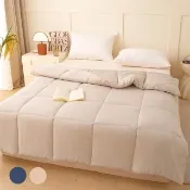 【Sleep Peacefully 寢室安居】買1送1 3M銀離子抗菌可水洗烘乾四季被-雙人(棉被/冬被)