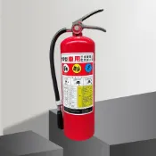 (店+)車用10型滅火器ABC乾粉滅火器車檢必備（新規）監理站驗車10P滅火器車用檢查專用不銹鋼把手貨車遊覽車驗車