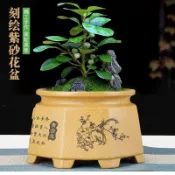 H宜興紫砂盆景盆蘭花陶瓷吊蘭金彈子老樁種樹六邊形手工透氣大花盆👍