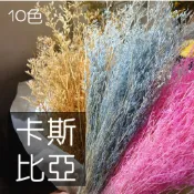 My Wonderful 🏆熱銷冠軍！買5送1 乾燥花材1束最低$30【卡斯比亞／永生卡斯比亞】永生花／乾燥花