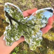 四季春夏秋冬拍照神器化妝鏡亞克力蝴蝶鏡便攜神器意境擺拍ins風