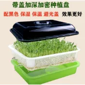 【家庭種菜系列現貨送種子】黑色蓋子遮光保濕豆芽盤 小麥草 加深水盤 水耕苜蓿芽 黃豆 綠豆 紅豆 園藝陽台種菜