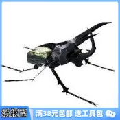【吉星折紙】3D紙模型手工diy禮物 仿真昆蟲標本 高卡薩斯南洋大兜蟲 3D紙模