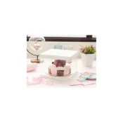 (店+)嚴選SHOP 三色 單層/雙層透明生日蛋糕盒 透明塑膠盒 蛋糕盒 透明盒 包裝盒 禮物盒 加高芭比盒 紙盒 C111