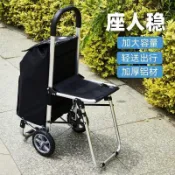 可坐人多功能購物拉車 爬樓省力結構 可推拉手推兩用 老人專用 家用買菜 超市置物 戶外出行小推車 高檔買菜小拉e17