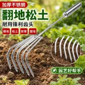 ✨免運出貨🎉不鏽鋼一體鋼柄小耙子 园藝多爪耙 松土耙 海鮮耙 园林耙 土蛤蜊工具