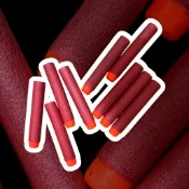Nerf  Elite 2.0 菁英系列 正版散裝子彈50發
