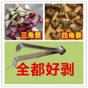 🌸秋葉原🌸剝菱角神器生菱角剝殻器熟菱角撥殻器菱角剝殻夾子剝菱角皮的工具