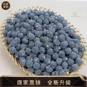【品質仿真館】仿真藍莓直徑2cm 1.5cm泡沫水果假水果擺件仿真藍莓顆粒模型道具仿真食物 仿真