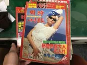 時報週刊 時報周刊 NO.796》1993.6 內有：吳百倫 蘇意菁 李麗珍 陳雅倫 翁虹 無劃記 Y50
