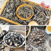 【正心堂】葵瓜子原味/紅棗/黑糖/焦糖/奶香/黑松露/海鹽茴香 300克 7-11超取299免運 水煮瓜子 五種口味