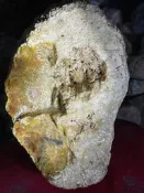 台灣進口原礦透光珊瑚菊花玉
