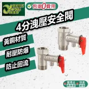 包退0費用 4分 逆止洩壓閥 熱水器逆止閥 洩壓安全閥 熱水器逆止閥 安全閥 減壓閥 台灣現貨【超能旗艦】