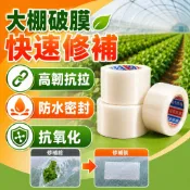 隔日達🌿大棚修補膠帶 大棚膜 修補專用膠帶 塑膠膜 塑膠布 補膠布 塑料布薄膜 防水防凍 農用強力修復膠帶