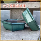 紫砂花盆 多肉盆 陶瓷盆器 六方盆景盆 菖蒲 盆栽容器 小品盆栽 粗陶盆 透氣盆 拇指盆 迷你花盆 桌上盆栽 陶瓷花盆