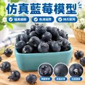 【仿真藍莓模型】假水果道具 泡沫模型 假藍莓擺件 櫥窗展廳 家居裝飾 擺飾 仿真植物