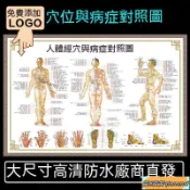 贊🔍️贊-限時下殺人體穴位圖 全身圖 中醫艾灸拔罐養生十二經絡穴位海報大掛圖 LENS