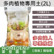 (店+)多肉植物專用土 2公升 多肉專用土 顆粒介質 多肉土 仙人掌專用土 三本線赤玉土 【HOMEDEN霍登園藝】