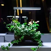 【ONF 光之間】ONF Flat Nano 桌上型水陸植物培育燈具-桌燈款(銀)