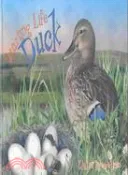 【三民網路書店】Duck 作者：Claire Llewellyn; Simon Mendez (ILT)