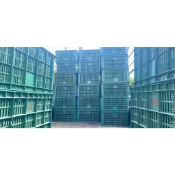 現貨臺灣製六格籃百吉籃 搬運籃 果菜籃水果籃香蕉籃 儲運籃 分類籃 蘆荀籃工具箱 儲運箱 水果籃 百吉籃 格籃塑膠籃 物