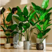 限時免郵2022款仿真旅人蕉天堂鳥樹綠植植物盆栽假樹室內客廳落地造景裝飾