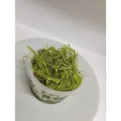 (店+)【阿禧鮮魚行】海帶絲 裙帶絲 素食可用 開胃菜 小菜 涼拌菜全家店到店 799元 免運