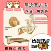 怪獸部落 LitoMON 漫步雲端吸盤式貓吊床/貓階梯/貓咪玩具