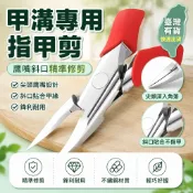 💢現貨🧩隔日達💢德國甲溝 專用指指甲剪 甲溝剪 灰指甲 甲溝嵌甲不鏽鋼鷹嘴鉗 修甲鉗銼刀剔甲器 修腳鉗 鷹嘴鉗