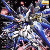現貨 BANDAI 1/100 MG 攻擊自由鋼彈 機動戰士 鋼彈SEED DESTINY 組裝模型