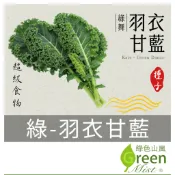 綠-羽衣甘藍種子(0.35g約120-160粒種子) 綠舞羽衣甘藍 羽衣甘藍種子 超級食物 綠拿鐵 蔬菜種子【綠色山嵐】