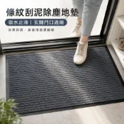 地墊 地毯 入門墊 廚房 浴室 防滑 吸水 防油 腳墊 入戶 除塵 墊子 家用 大門口 防滑腳墊 吸水地墊