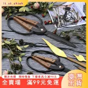 臺灣出貨 [花藝 日式園林剪刀]熱銷園藝剪刀衚桃木柄不鏽鋼修枝剪果園摘果剪子園林樹枝剪工具剪輕鬆剪菁仔|荖葉|檳榔攤|