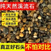 *🔥臺中🔥原生溪流石造景魚缸底砂免洗鵝卵石頭純天然鋪底裝飾五彩石大石頭82