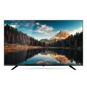 CHIMEI 奇美55型4K聯網液晶顯示器/無視訊盒 TL-55G300